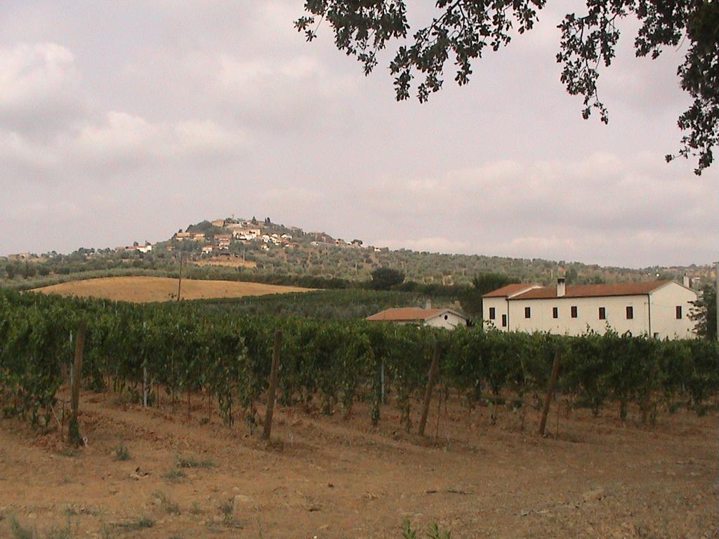 Agriturismo Vigna Mai Маляно ин Тоскана Екстериор снимка