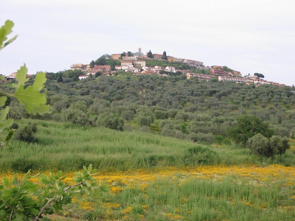 Agriturismo Vigna Mai Маляно ин Тоскана Екстериор снимка